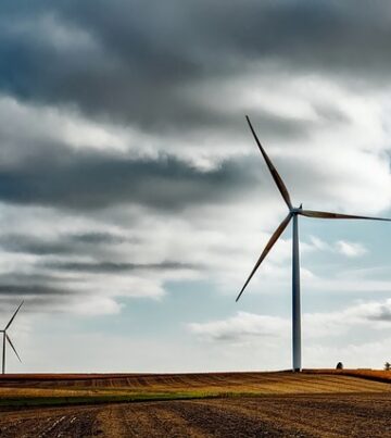 wind-farm-1747331_640