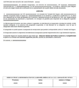 Modelo aval de contingencia