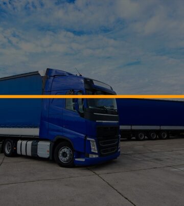 Entrada-Transportes-Avales